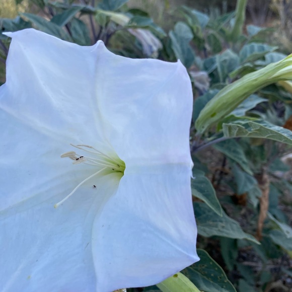 Welcome! - Picture 2 of 3